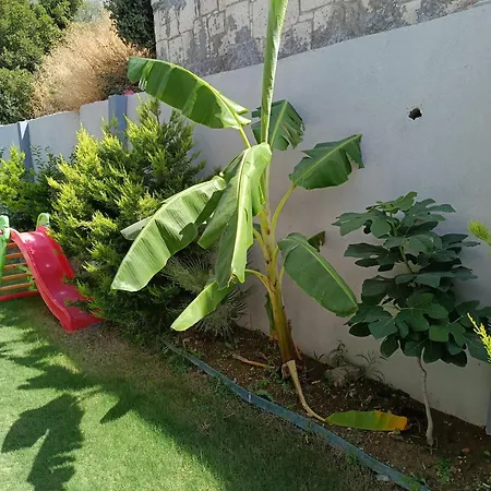 Havuzlu Lueks Havuzu Isitmali