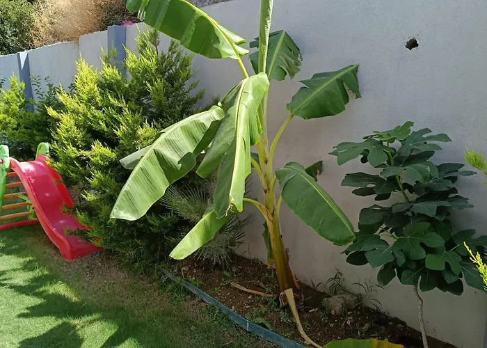 Havuzlu Lueks Havuzu Isitmali